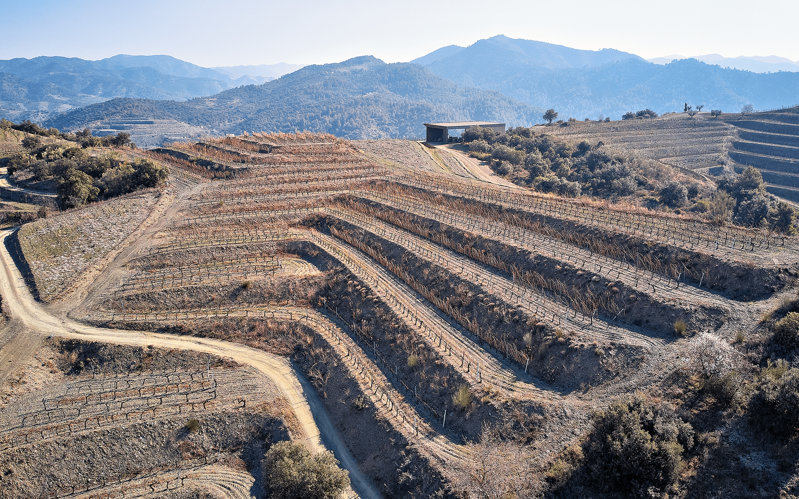 Finca Coll de Falset