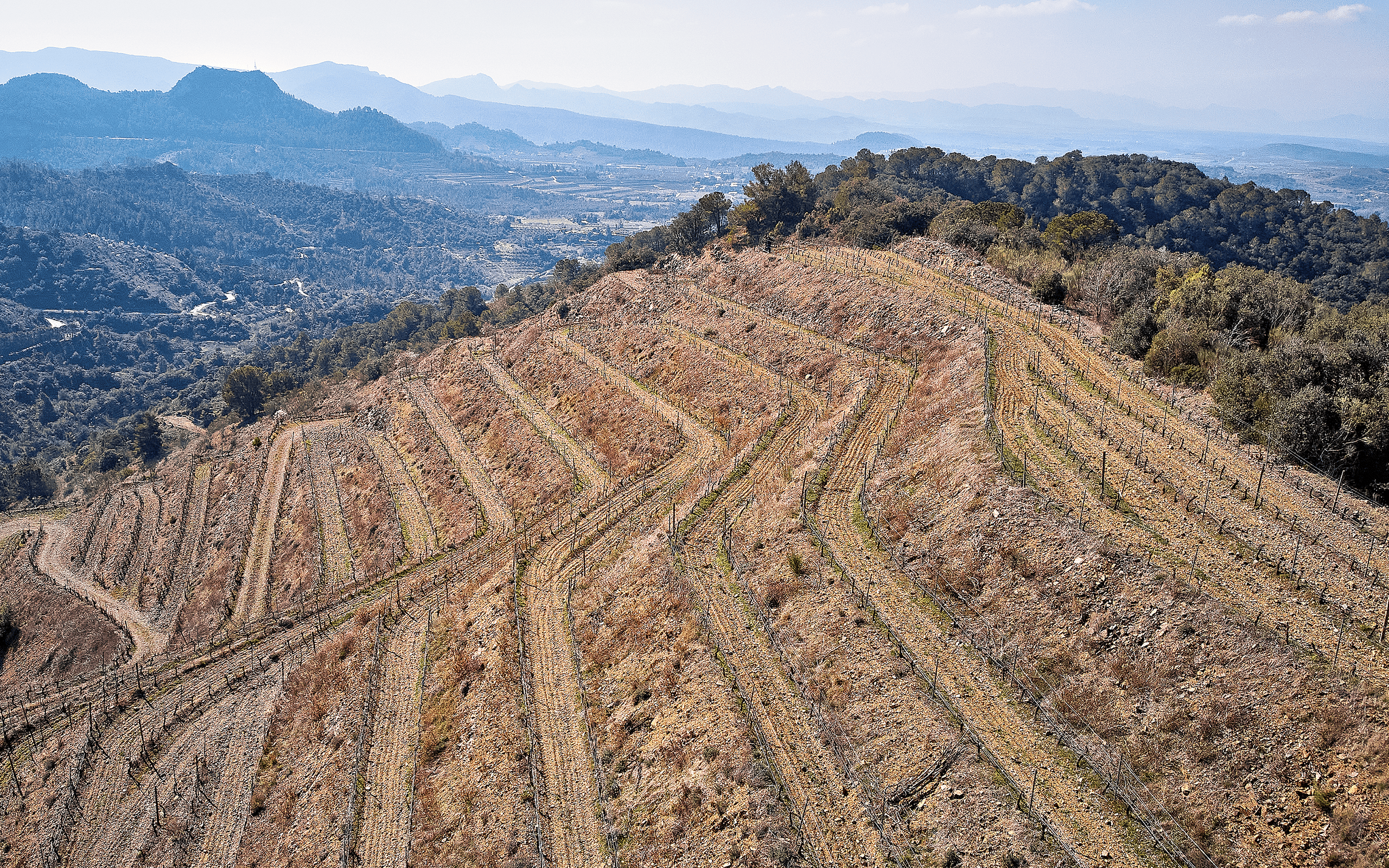 Finca Colls de Porrera