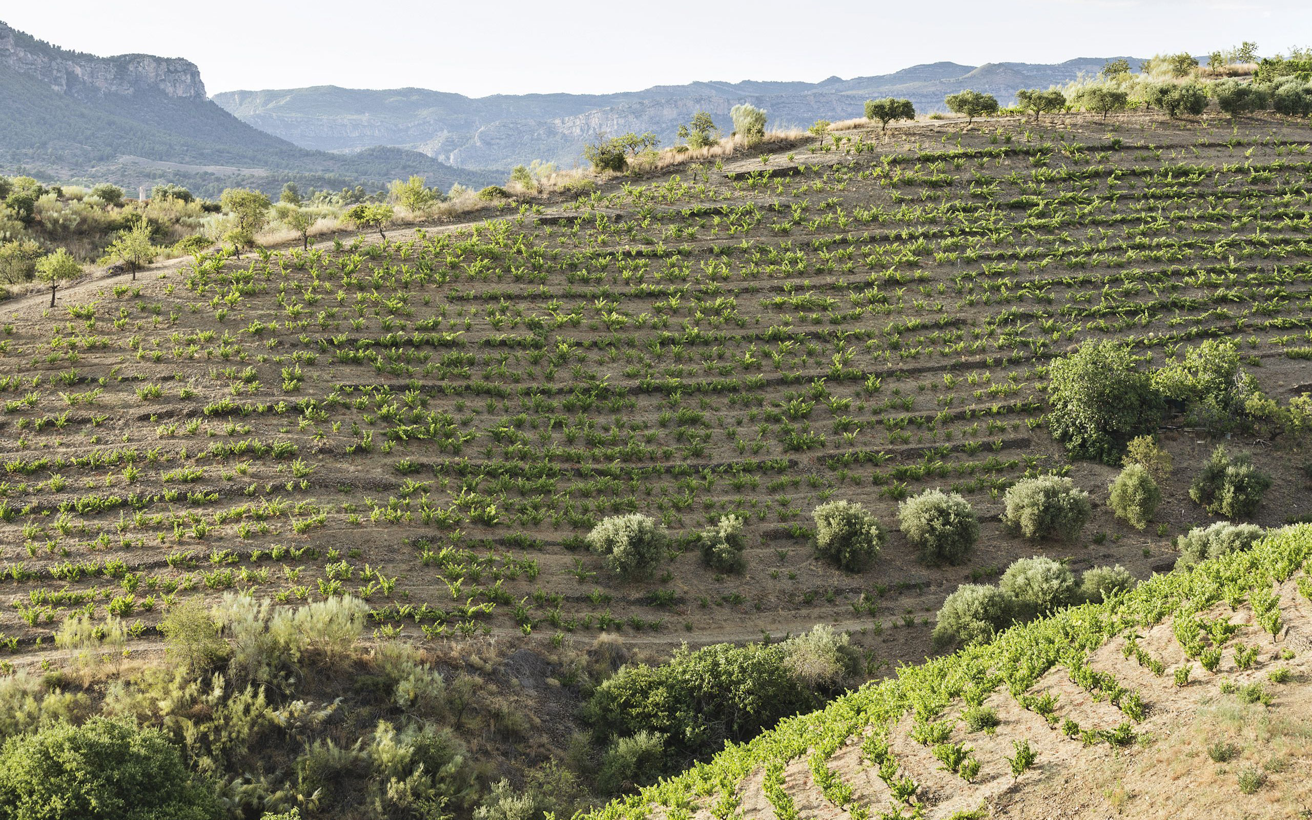 Finca Sant Martí